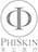 PhiSkin logo